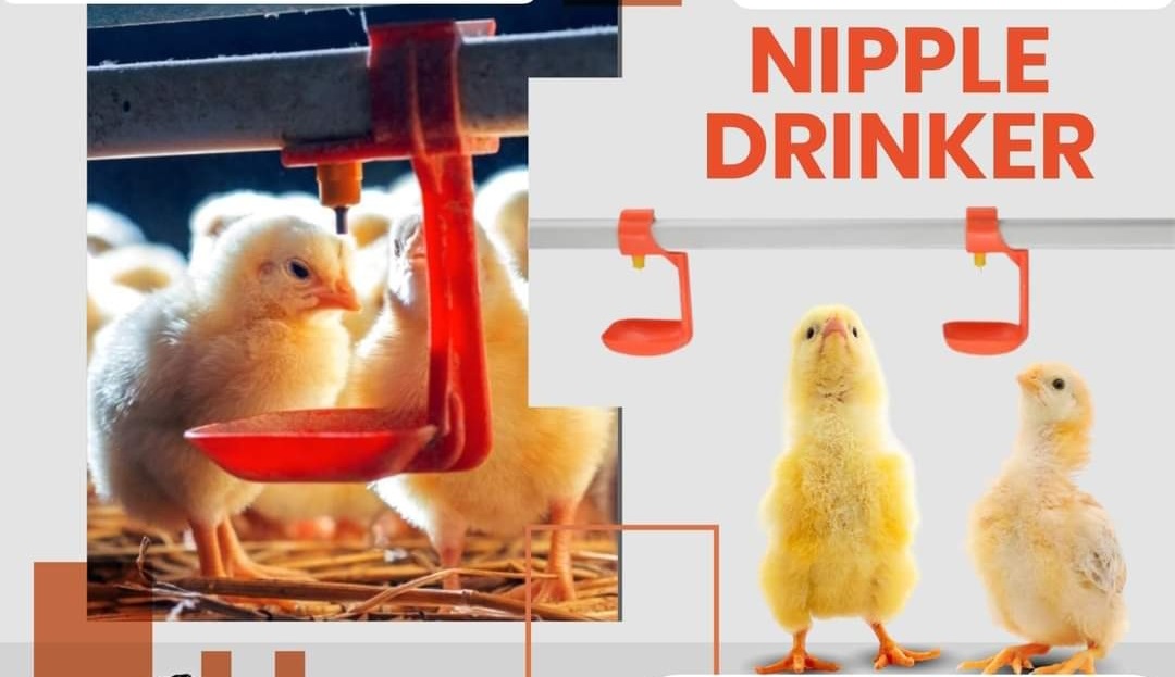 nipple drinker